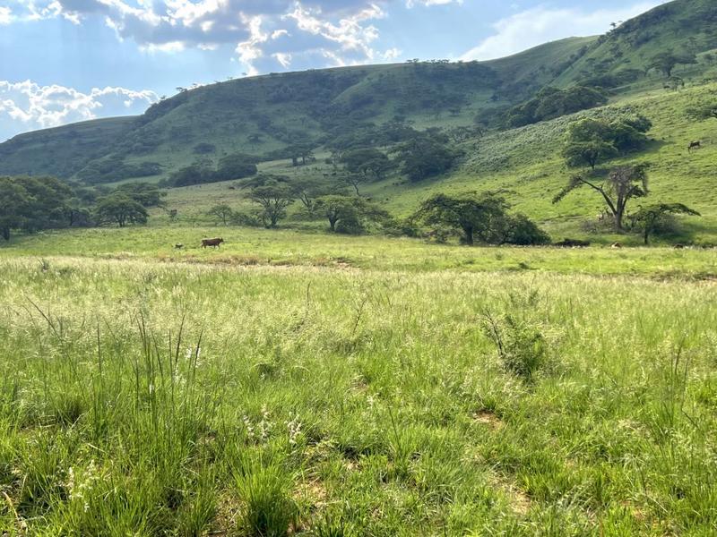 0 Bedroom Property for Sale in Harrismith Free State